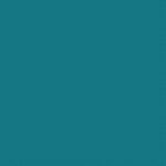 DDS 2028 Duvardan Duvara Yün Cami Halısı